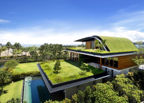 What On Earth Is Regenerative Home Design? 3