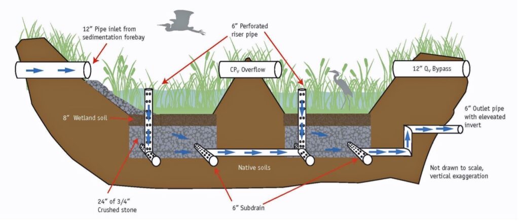 What On Earth Is Regenerative Home Design? 5